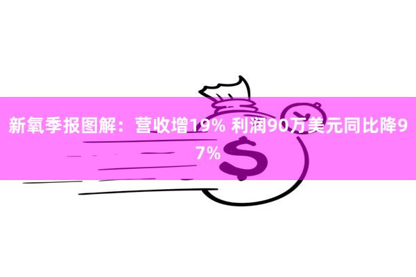 新氧季报图解：营收增19% 利润90万美元同比降97%