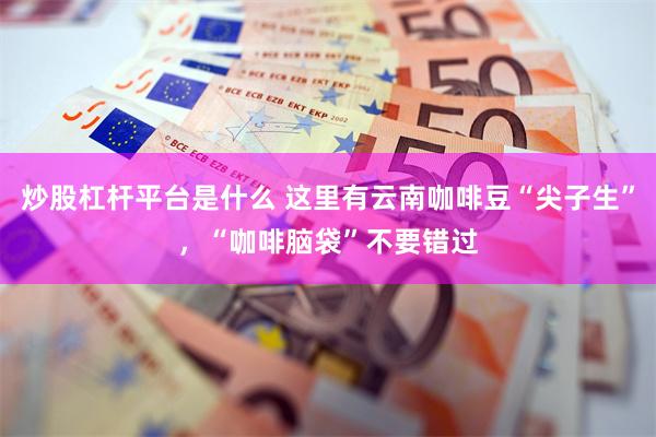炒股杠杆平台是什么 这里有云南咖啡豆“尖子生”，“咖啡脑袋”不要错过