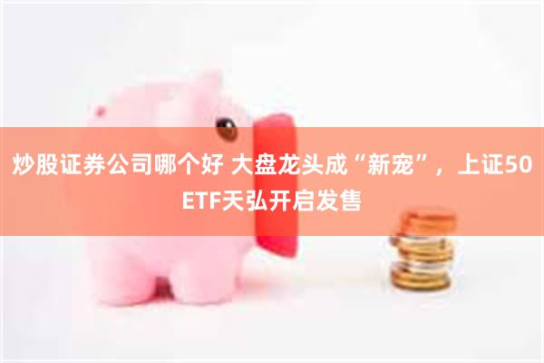 炒股证券公司哪个好 大盘龙头成“新宠”，上证50ETF天弘开启发售