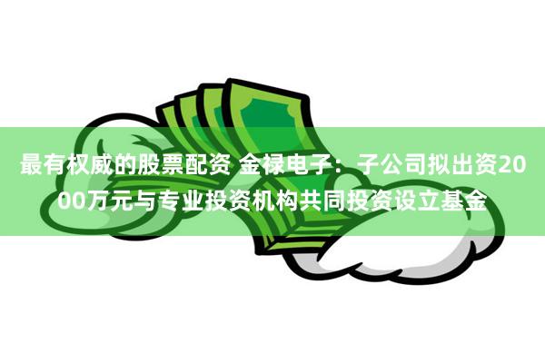 最有权威的股票配资 金禄电子：子公司拟出资2000万元与专业投资机构共同投资设立基金