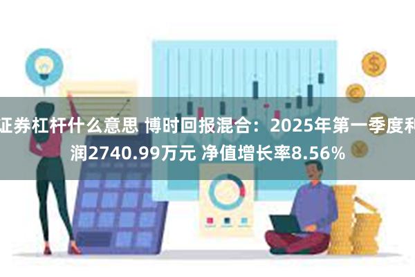 证券杠杆什么意思 博时回报混合：2025年第一季度利润2740.99万元 净值增长率8.56%