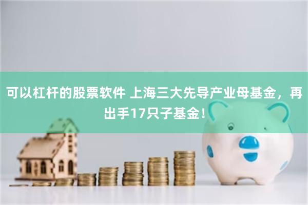 可以杠杆的股票软件 上海三大先导产业母基金，再出手17只子基金！