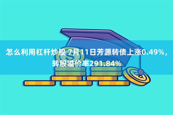 怎么利用杠杆炒股 7月11日芳源转债上涨0.49%，转股溢价率291.84%