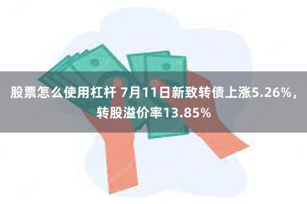 股票怎么使用杠杆 7月11日新致转债上涨5.26%，转股溢价率13.85%