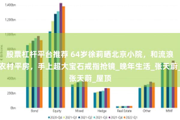 股票杠杆平台推荐 64岁徐莉晒北京小院，和流浪猫住农村平房，手上超大宝石戒指抢镜_晚年生活_张天蔚_屋顶