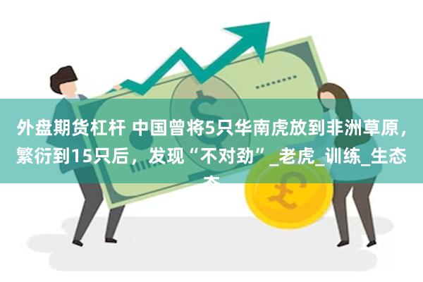 外盘期货杠杆 中国曾将5只华南虎放到非洲草原，繁衍到15只后，发现“不对劲”_老虎_训练_生态