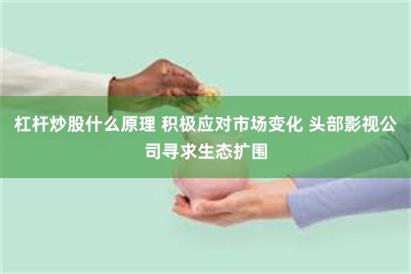 杠杆炒股什么原理 积极应对市场变化 头部影视公司寻求生态扩围