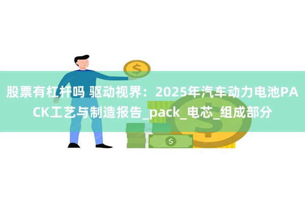 股票有杠杆吗 驱动视界：2025年汽车动力电池PACK工艺与制造报告_pack_电芯_组成部分