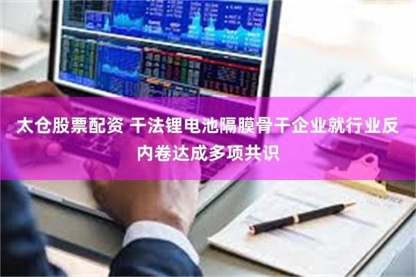 太仓股票配资 干法锂电池隔膜骨干企业就行业反内卷达成多项共识