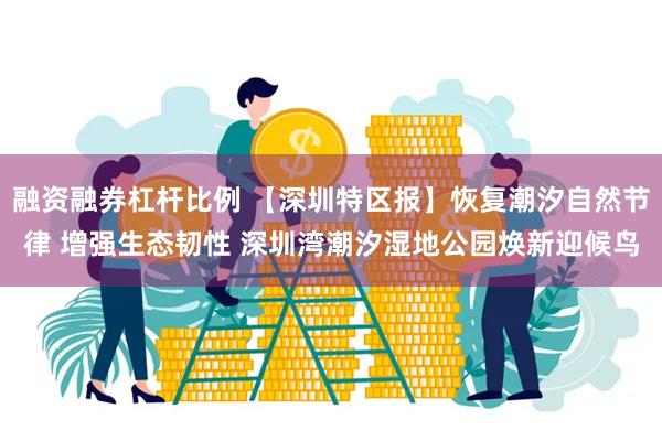 融资融券杠杆比例 【深圳特区报】恢复潮汐自然节律 增强生态韧性 深圳湾潮汐湿地公园焕新迎候鸟